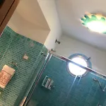 Casa vacanze La Casetta Di Erika Lacco Ameno (Isola d'Ischia)