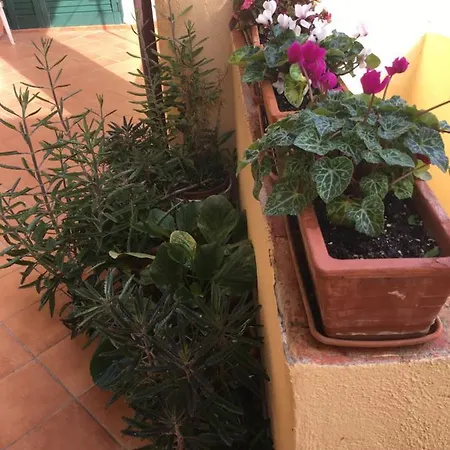La Casetta Di Erika *