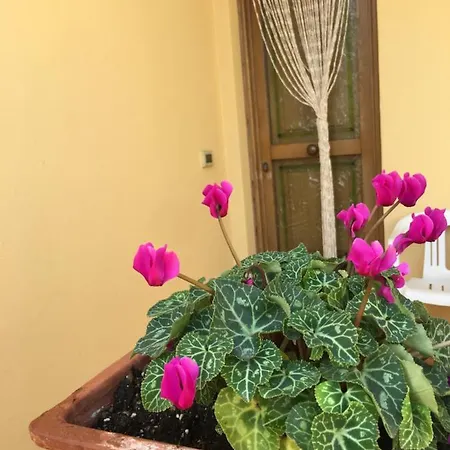 La Casetta Di Erika Casa de Férias